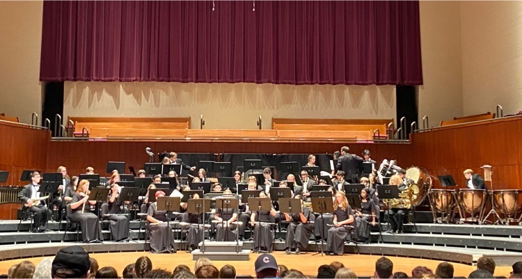 LPS band at festival